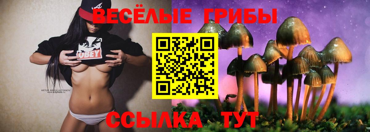 Галлюциногенные грибы GOLDEN TEACHER Саянск